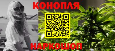 стафф Заволжье