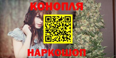стафф Заволжье