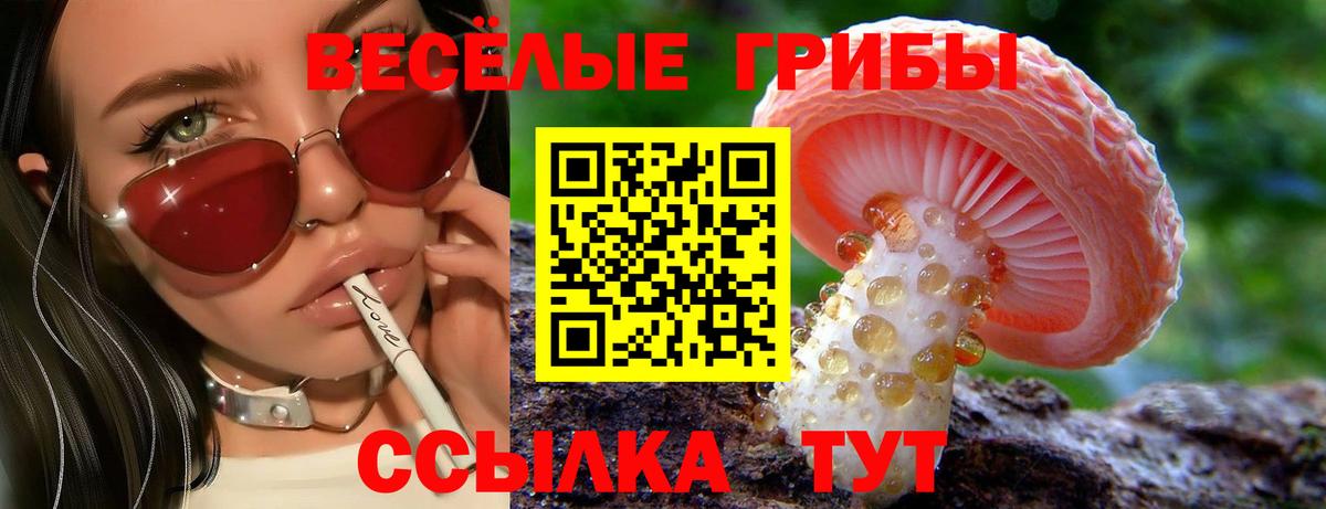 где можно купить   Вход с VPN  Кузнецк  Галлюциногенные грибы прущие грибы  Псилоцибиновые грибы Magic Shrooms 