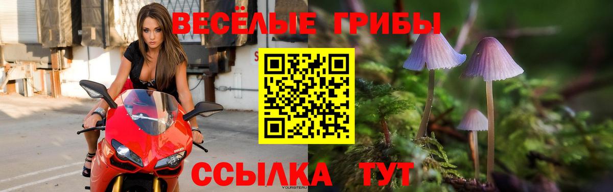 Псилоцибиновые грибы прущие грибы Кузнецк